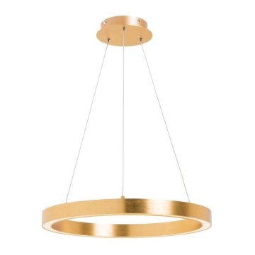 Zuma Line - LED luster na sajli 1xLED/40W/230V Ø 50 cm zlatna