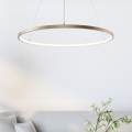 Zuma Line - LED luster na sajli LED/28W/230V 3000/4000/6000K prečnika 60 cm zlatna
