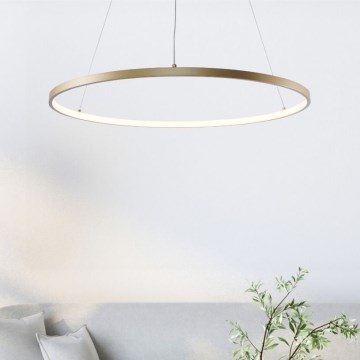 Zuma Line - LED luster na sajli LED/36W/230V 3000/4000/6000K, prečnik 80 cm, u zlatnoj boji