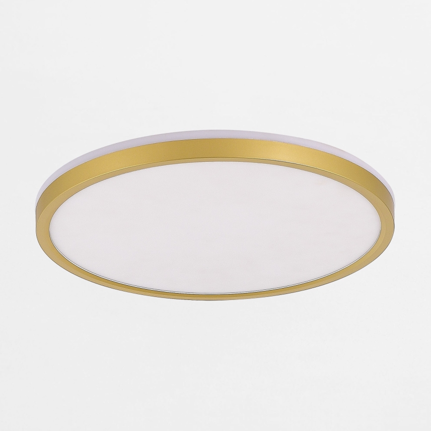 Zuma Line - LED prigušiva plafonska svetiljka LED/38W/230V + LED/11W 3000/4000/5500K, prečnik 50 cm, zlatna