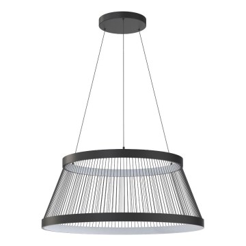 Zuma Line - LED prigušiva svetiljka na sajli LED/53W/230V 2700-6000K crna + daljinski upravljač