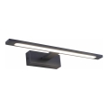 Zuma Line - LED rasveta za kupatilsko ogledalo LED/12W/230V 41 cm IP44 crna