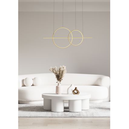 Zuma Line - LED prigušiva luster na sajli LED/34W/230V zlatna