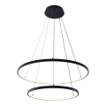 Zuma Line - Viseći LED luster na sajli LED/50W/230V 3000/4000/6000K Ø 60 cm crna
