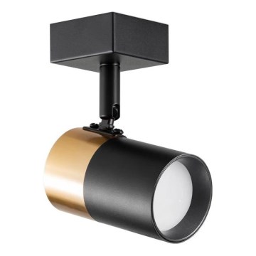 Zuma Line - Zidna reflektorska lampa 1xGU10/50W/230V crna/zlatna
